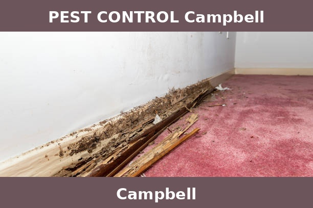 PEST CONTROL Campbell
